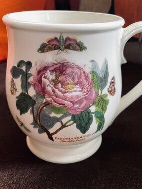 PORTMERION Garden Bristol Mug Shrubby Peony PAEONIA MOUTAN Pedistal Handled RARE